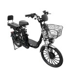 20-inch Ilan Princess II instrument head front and rear oil dish brushless gearless motor lithium battery electric bicycle